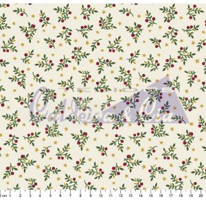 Natal Gold cor - 15 (Bege)